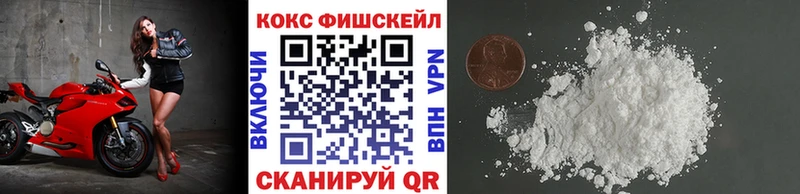 купить   Невьянск  COCAIN Эквадор 